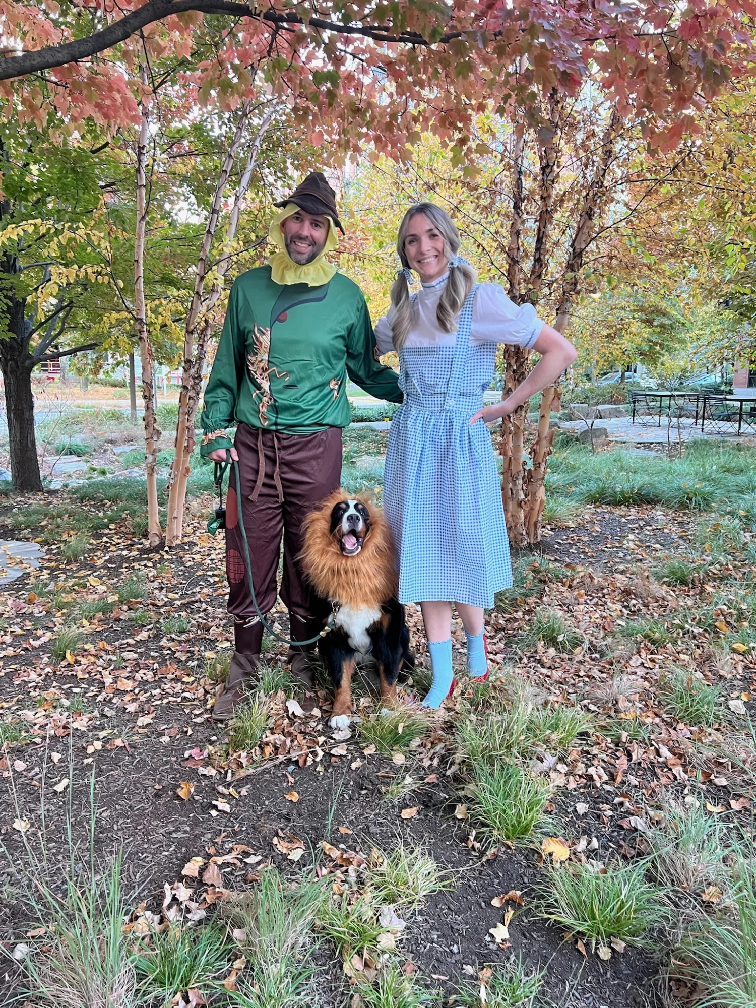 Brie the Cowardly Lion
