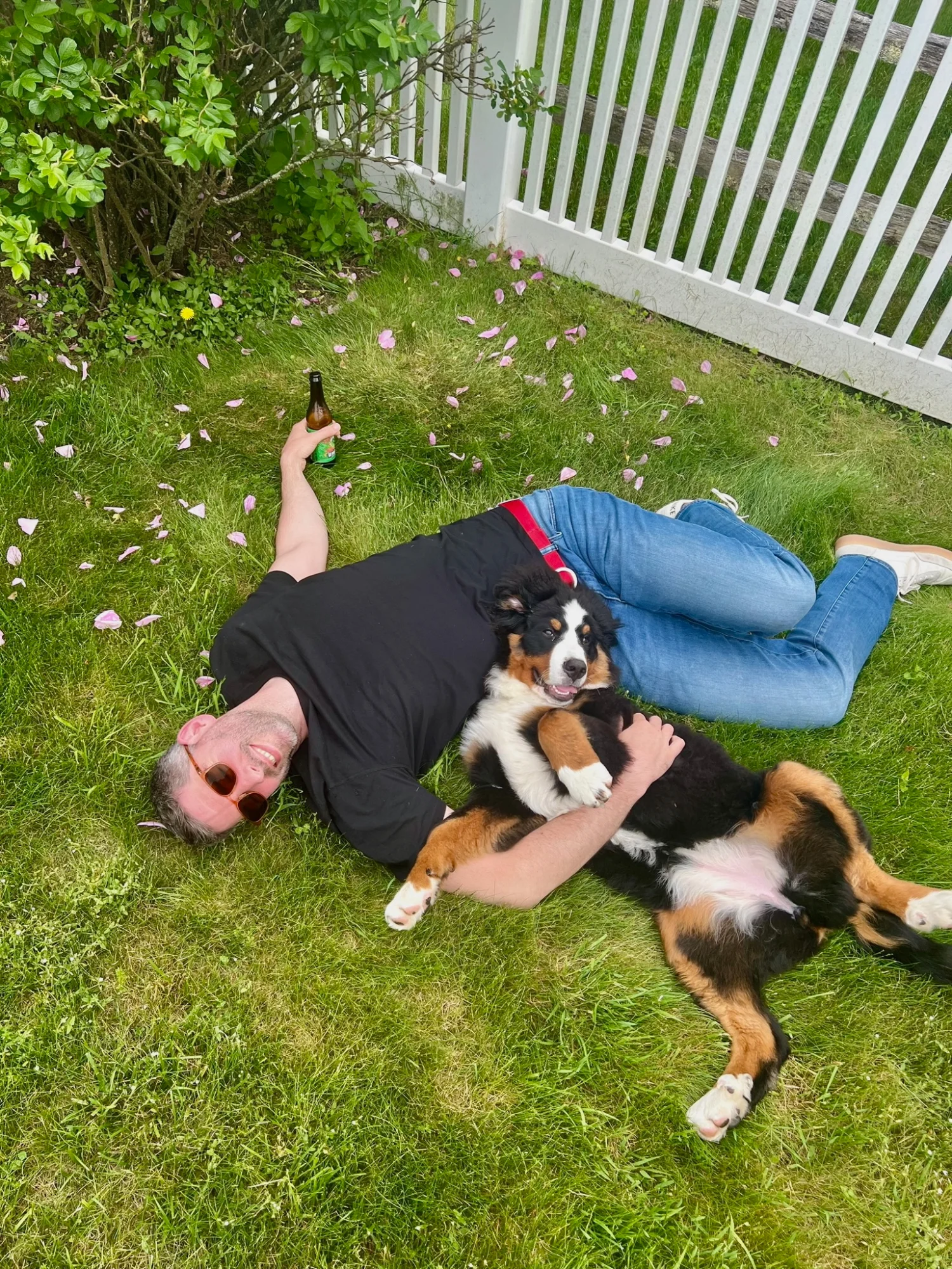 Dan and Brie